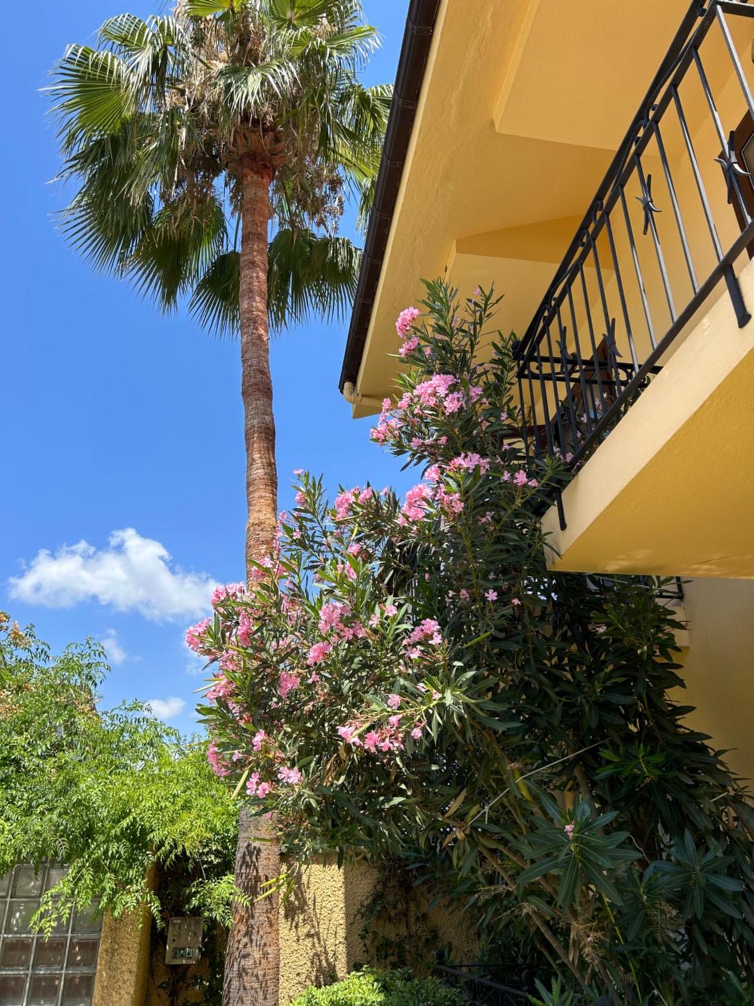 Villa Danlin Hotel Göcek Zewnętrze zdjęcie